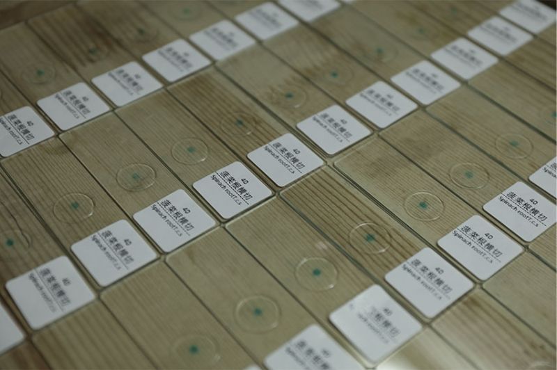 新鄉(xiāng)市求精教學(xué)儀器有限公司