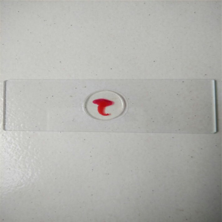 囊蟲(chóng)