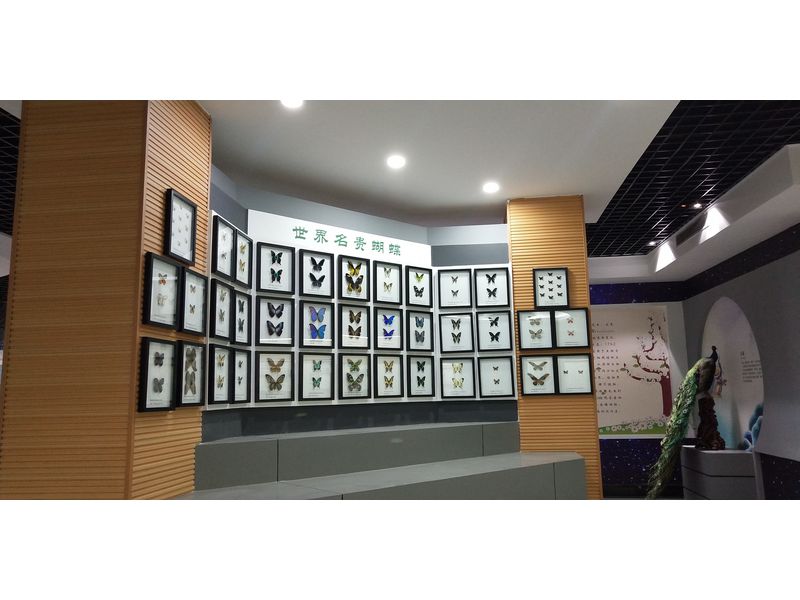 科技學(xué)院 (2)