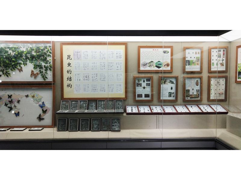 科技學(xué)院 (4)