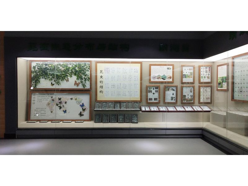 科技學(xué)院 (5)