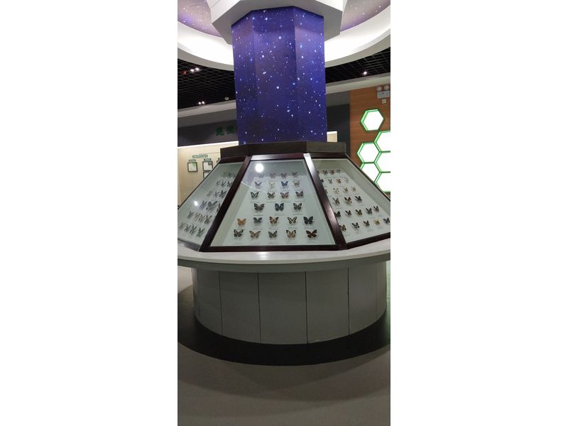 科技學(xué)院 (3)